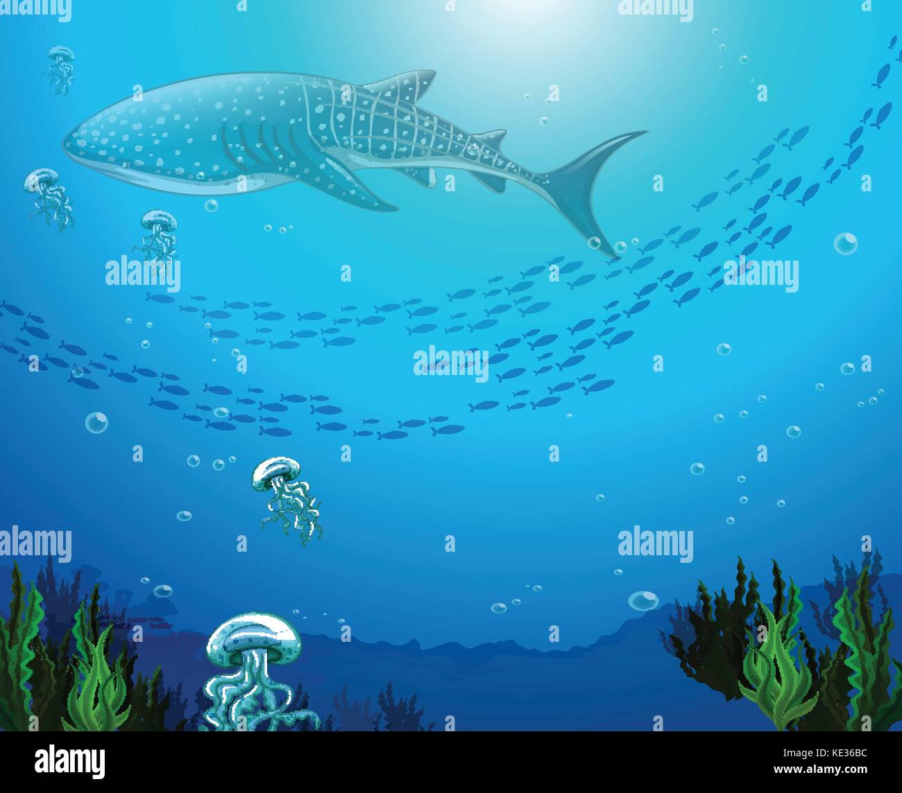Whaleshark swimming under the ocean illustration Stock Vector Image ...