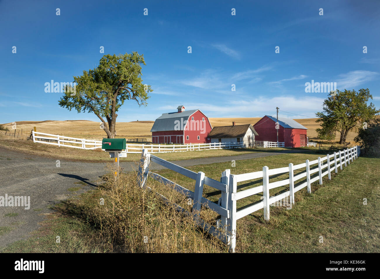 White fence around farm, Colfax, Washington, USA Stock Photo