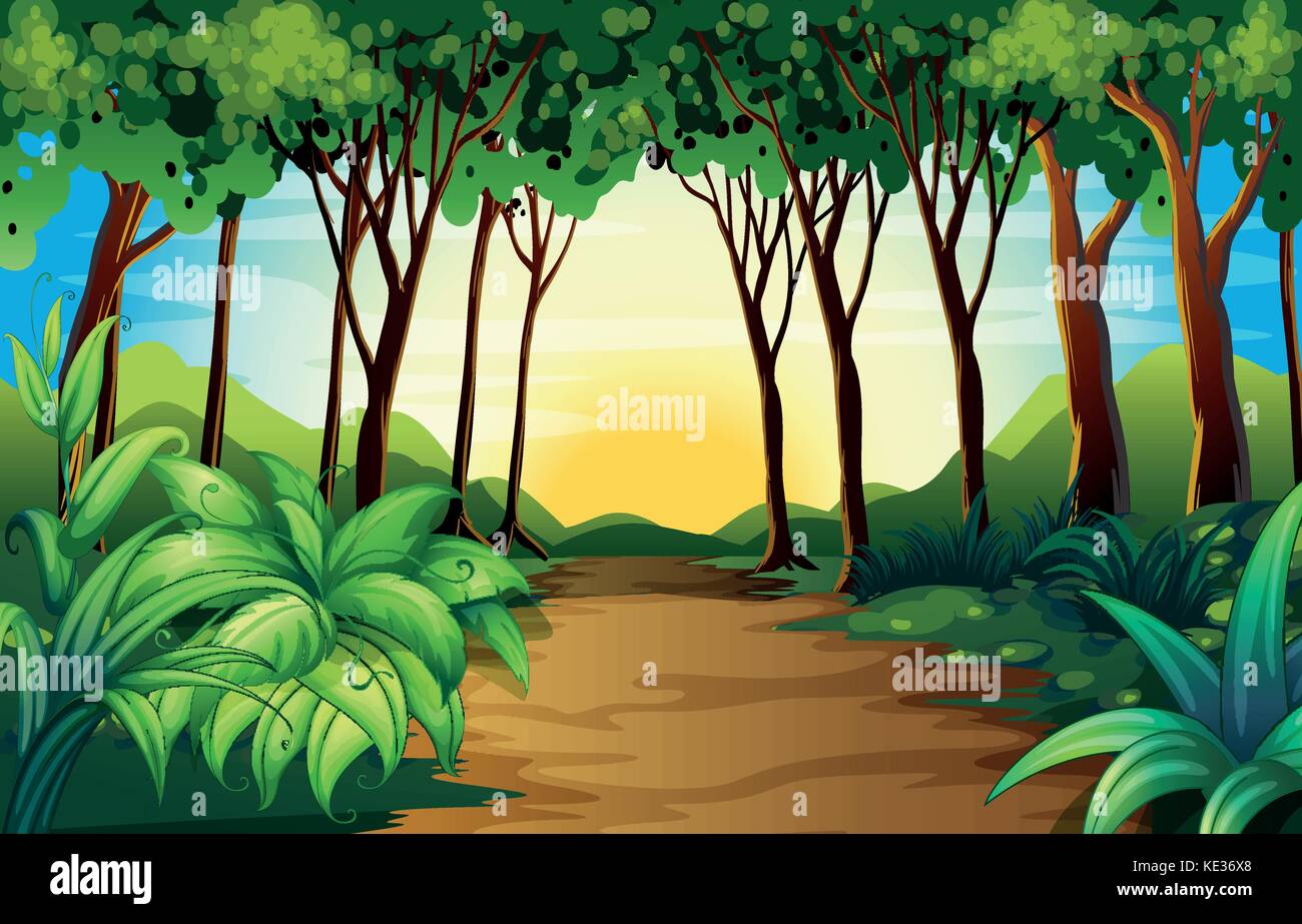 Nature scene with track in the woods illustration Stock Vector Image ...