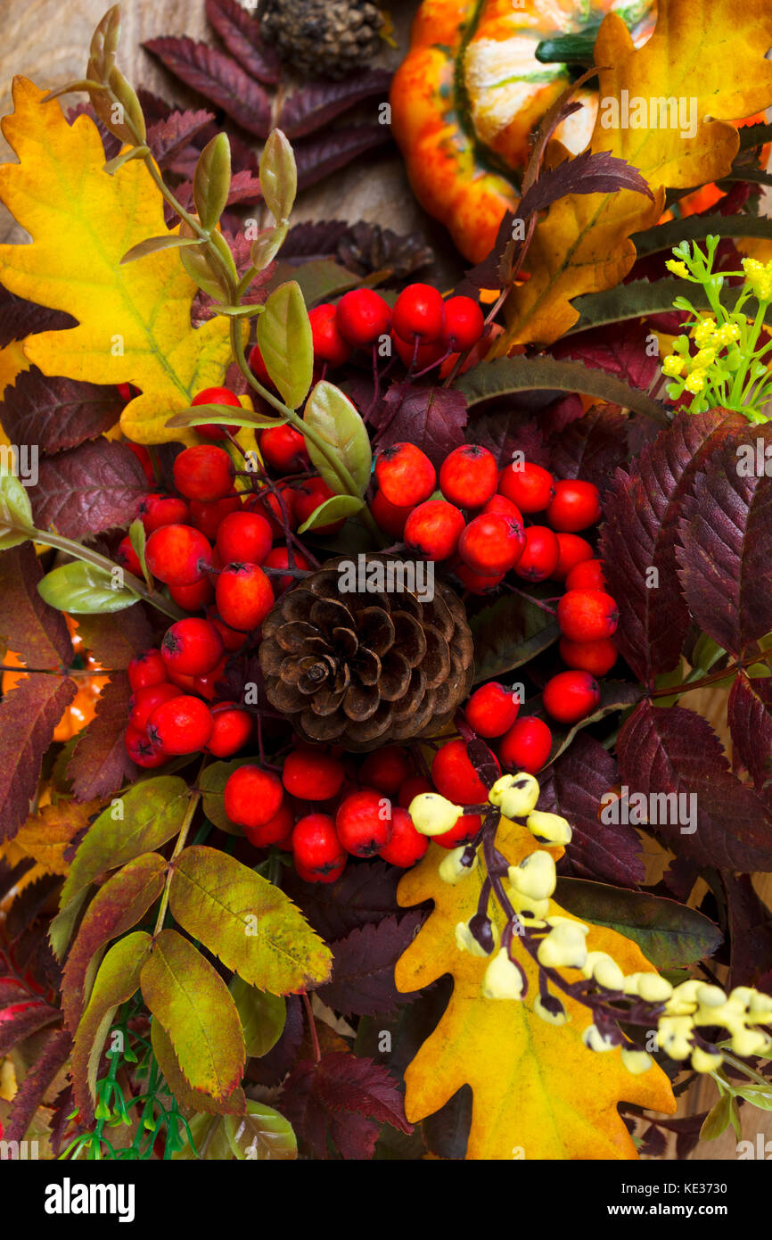 Fall decoration with cones, red rowan berries, yellow flowers and oak leaves Stock Photo