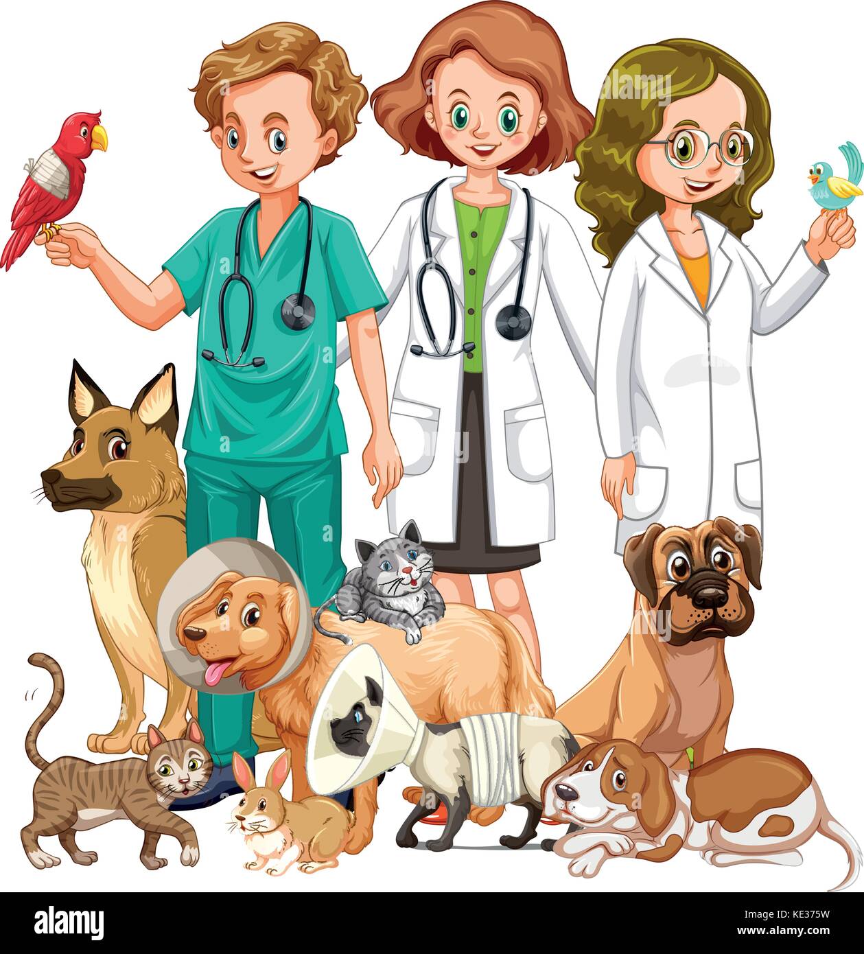 Vets and many type of animals illustration Stock Vector Image & Art Alamy