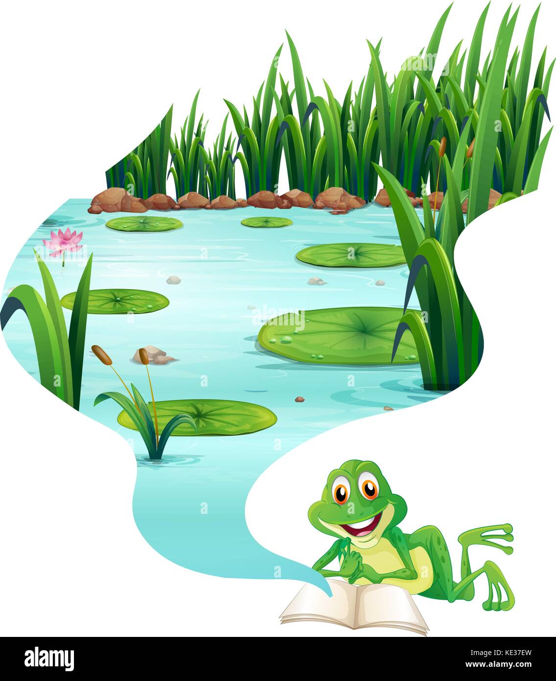 Frog reading book about the pond illustration Stock Vector