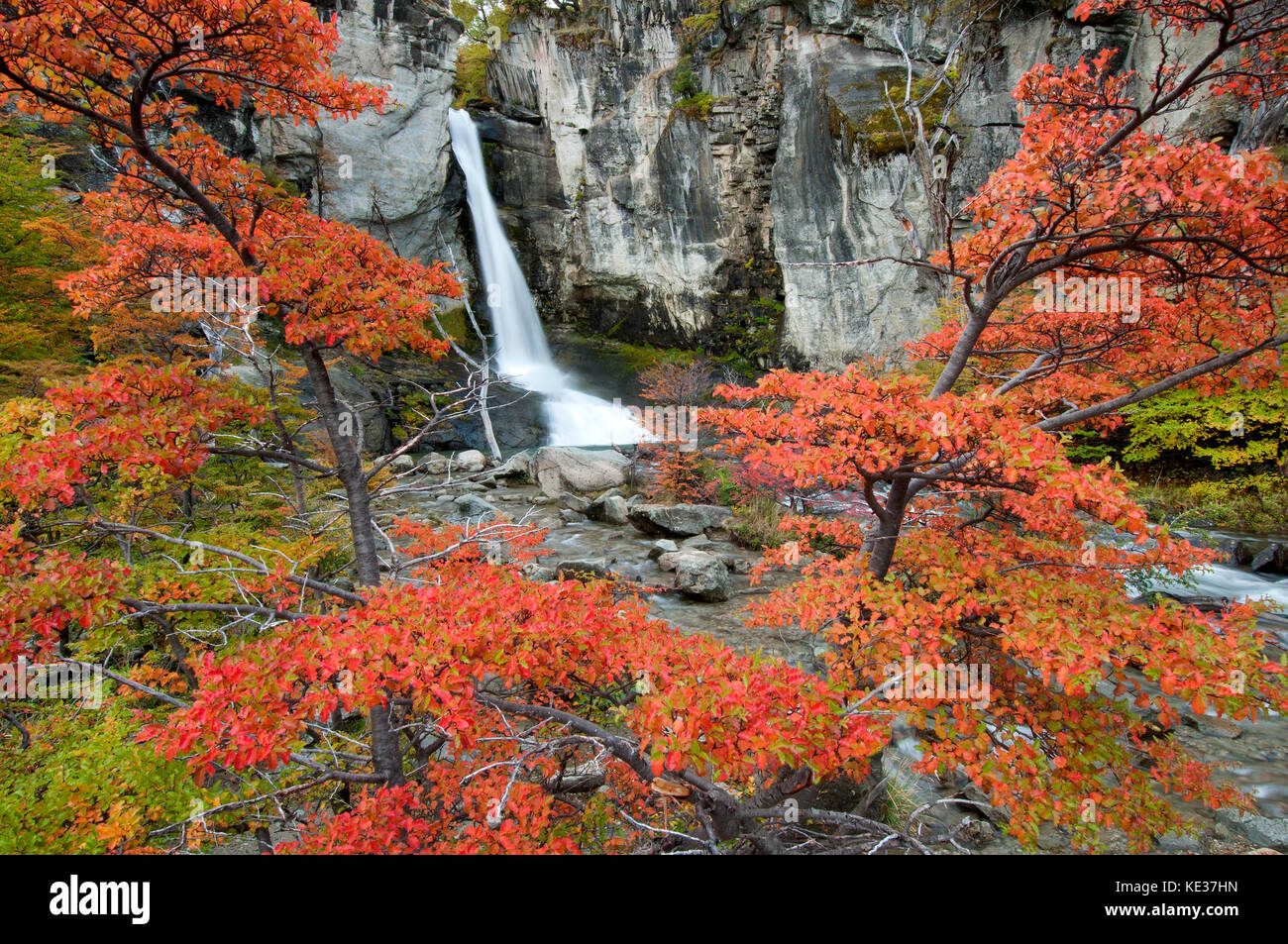 Chorrillo del Salto Waterfalls, Los Galciares National Park, southern Argentina Stock Photo