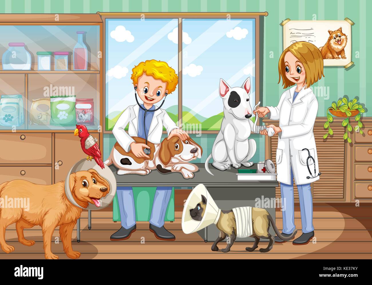 Two vets working in the animal hospital illustration Stock Vector