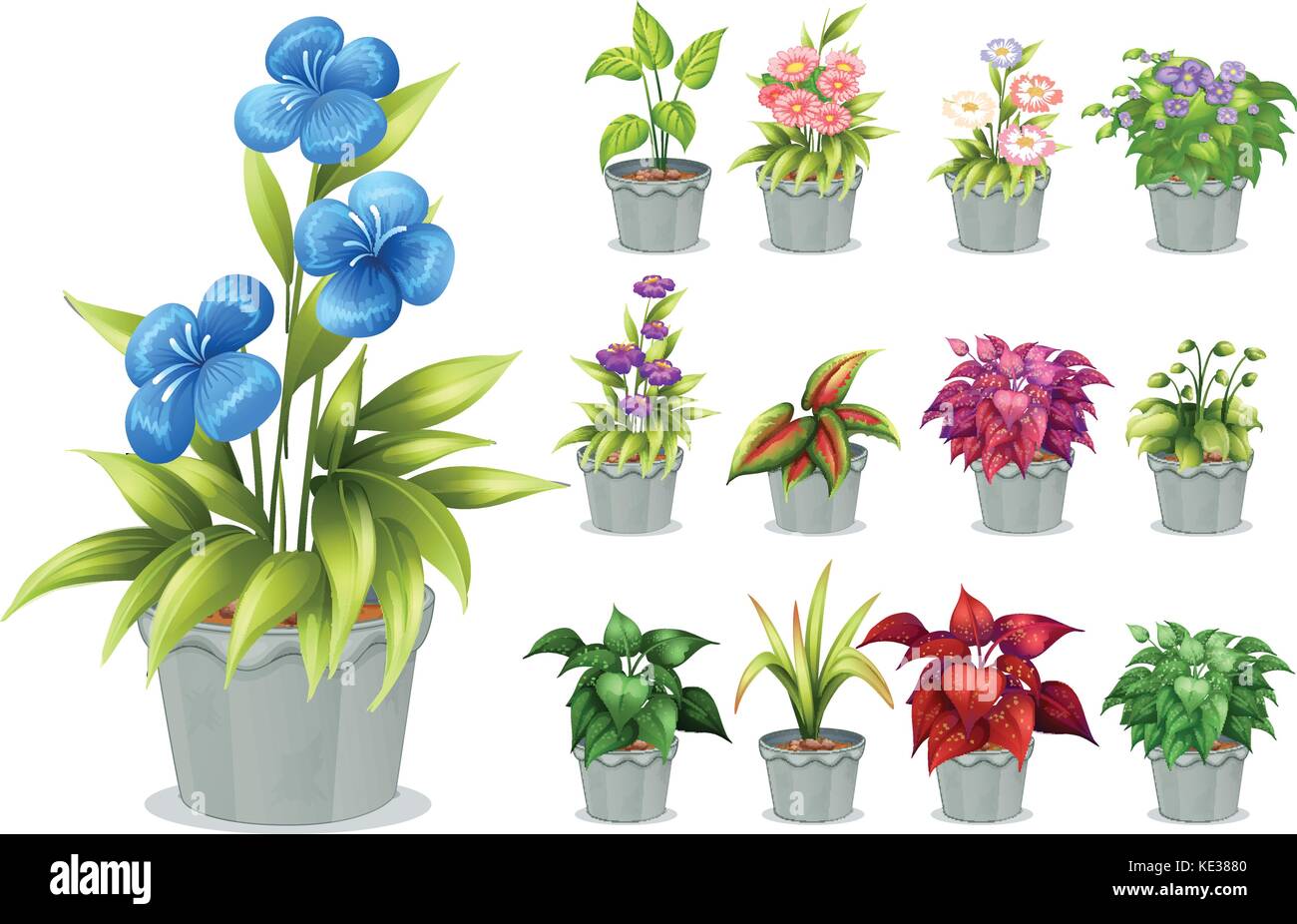 Flowers in the clay pot illustration Stock Vector Image & Art - Alamy