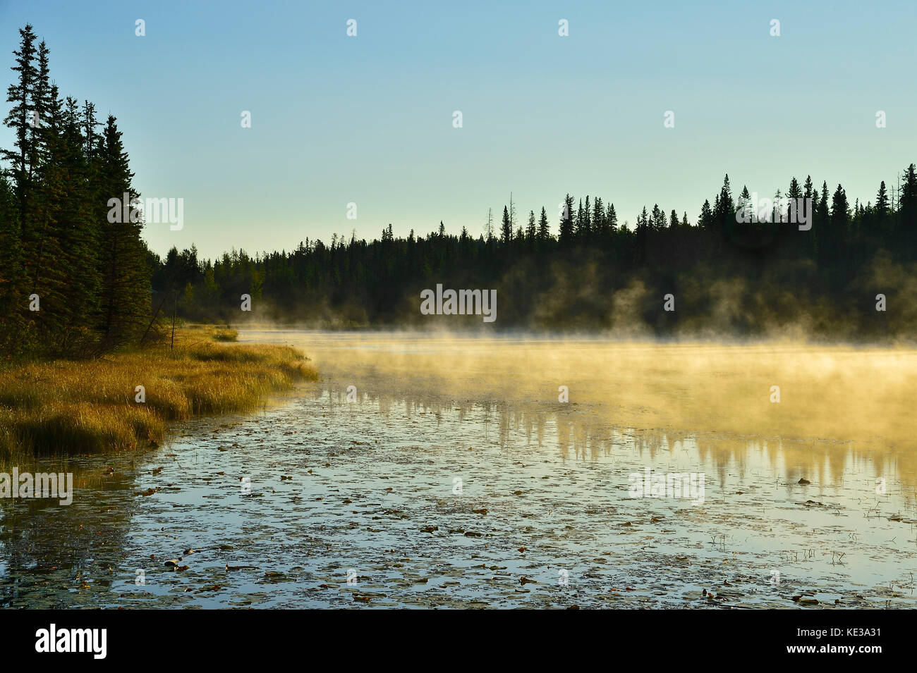 A nature landscape image of Maxwell lake in Hinton Alberta, Canada with mist on the water Stock Photo