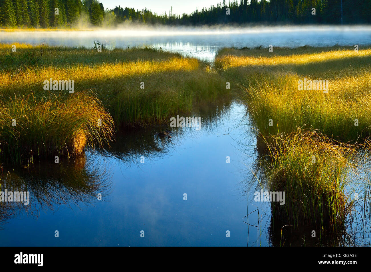 A landscape image of Maxwell lake in Hinton Alberta with mist on the