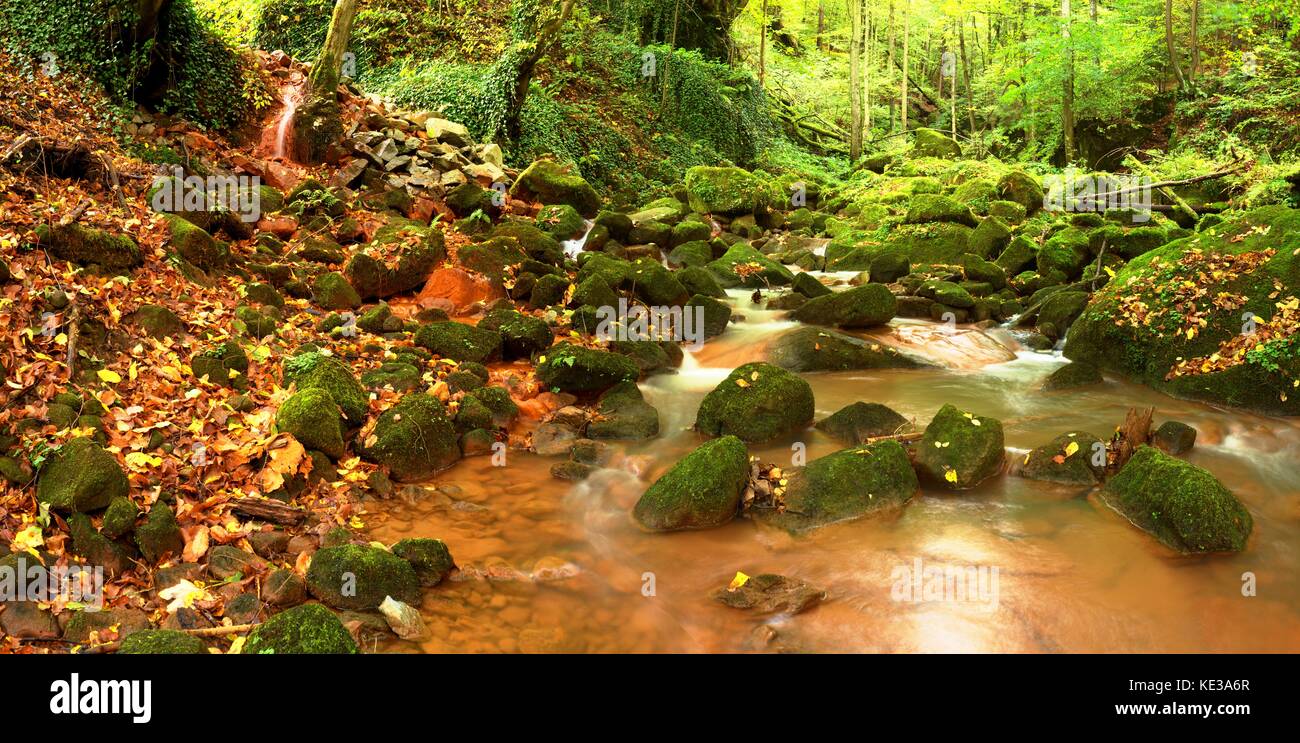 Cascades in rapid stream of mineral water. Red ferric sediments on big boulders between green ferns. Stock Photo