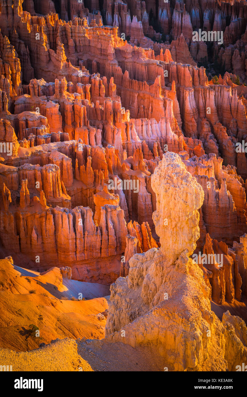 Bryce Canyon National Park, a sprawling reserve in southern Utah, is known for crimson-colored hoodoos, which are spire-shaped rock formations. The pa Stock Photo