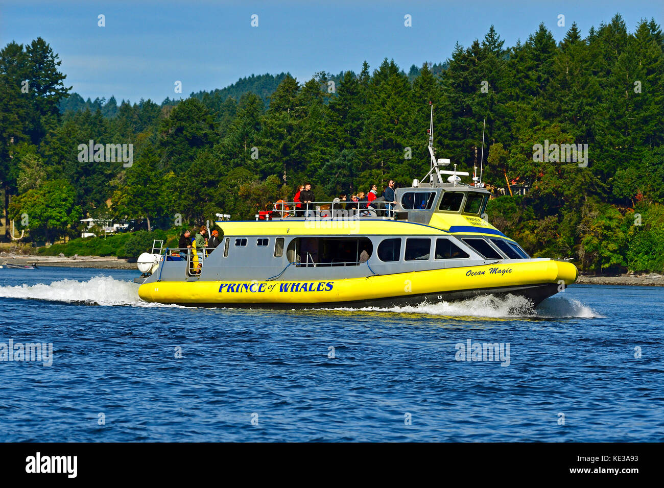 A side view of an eco tour whale watching vessel with it's load of tourists in search of a pod of killer whales that have been spotted in the bay near Vancouver Island, British Columbia Canada. Stock Photo