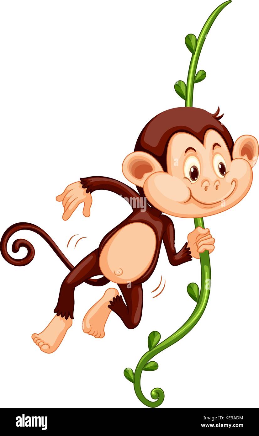 Cute monkey climbing up the vine illustration Stock Vector Image & Art