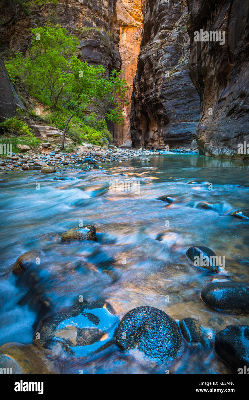 The Narrows in Zion National Park, (near Springdale, Utah) is a section