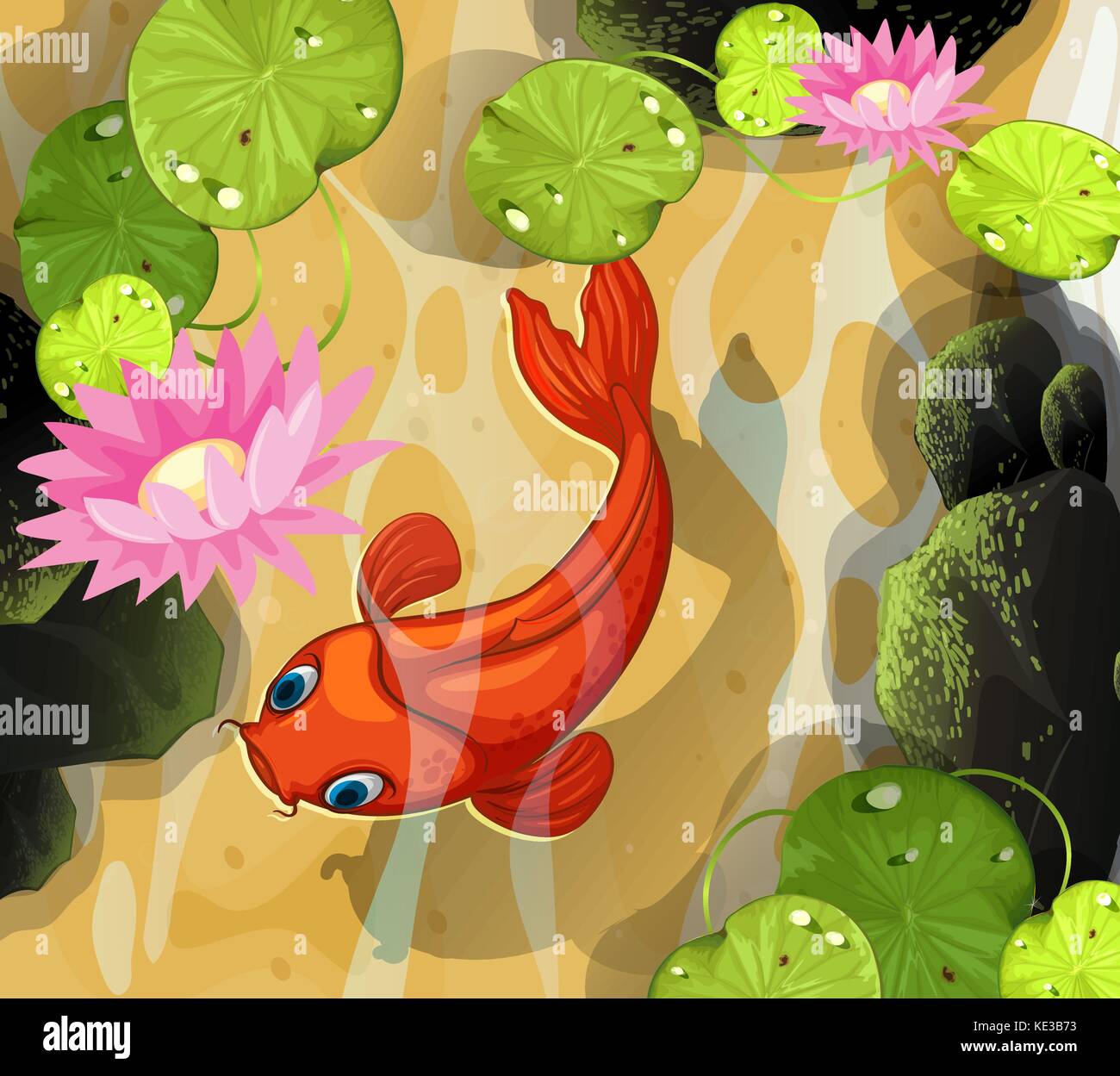 Lily pool Stock Vector Images - Alamy