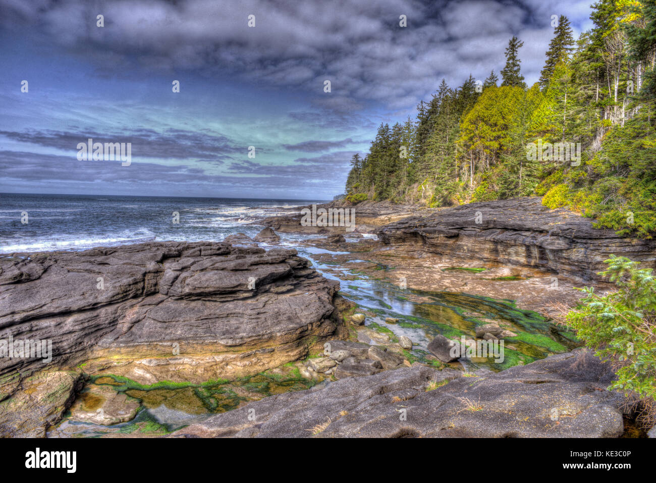 Coastline of the Juan de Fuca Trail on the west coast of Vancouver Island, Canada Stock Photo