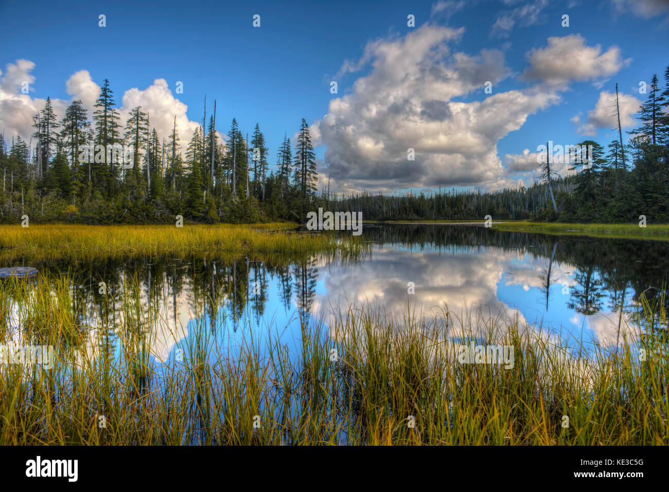 Lower Noyse Lake, San Juan Ridge - Vancouver Islanc, BC, Canada Stock Photo
