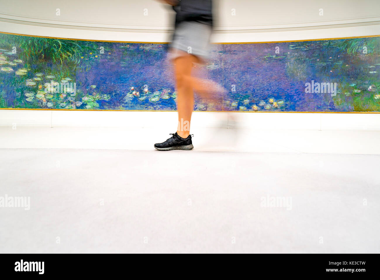 A Visitor enjoy Claude Monet's large scale waterlilies paintings in the Orangerie Museum in Paris Stock Photo