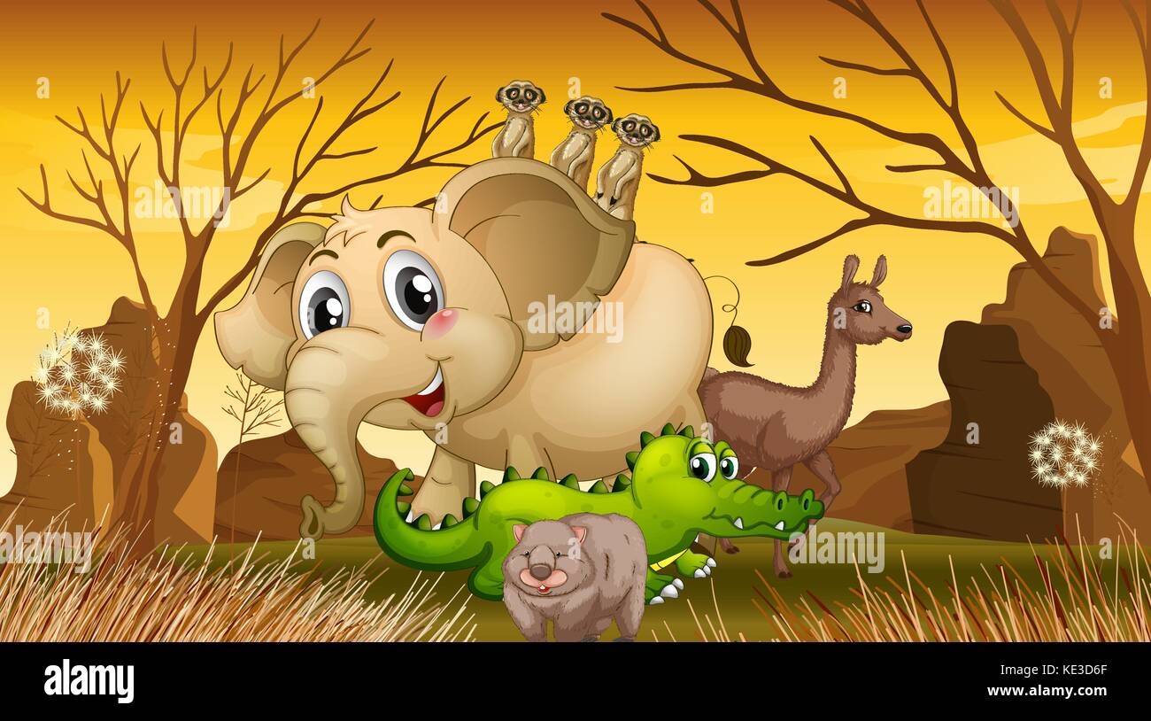 Wild animals standing in the field illustration Stock Vector Image ...