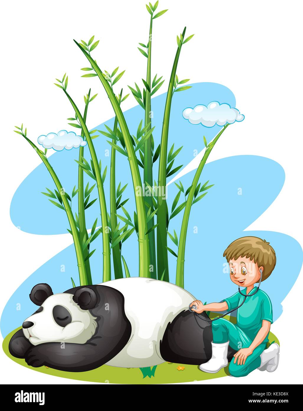 Vet checking up panda illustration Stock Vector Image & Art - Alamy
