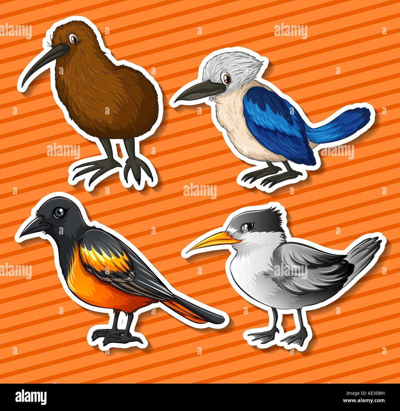 Different kind of birds illustration Stock Vector Image & Art - Alamy