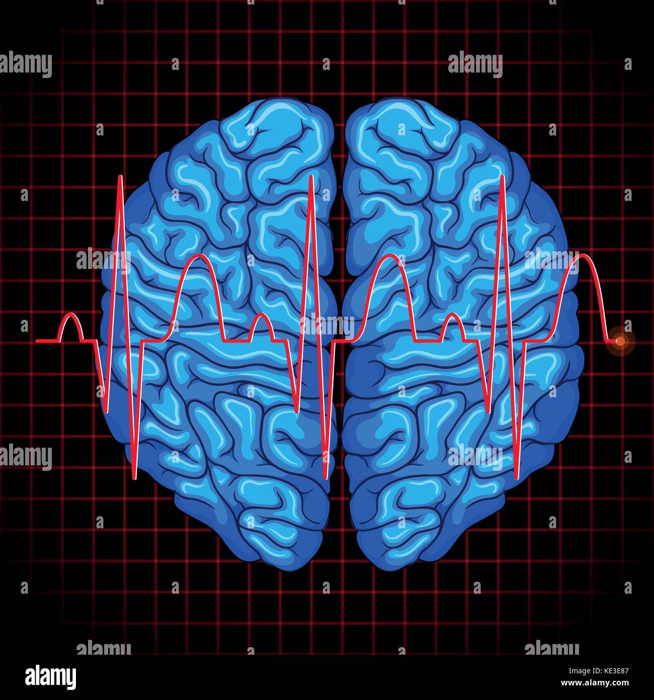 Human brain and brain graph on grids illustration Stock Vector Image ...