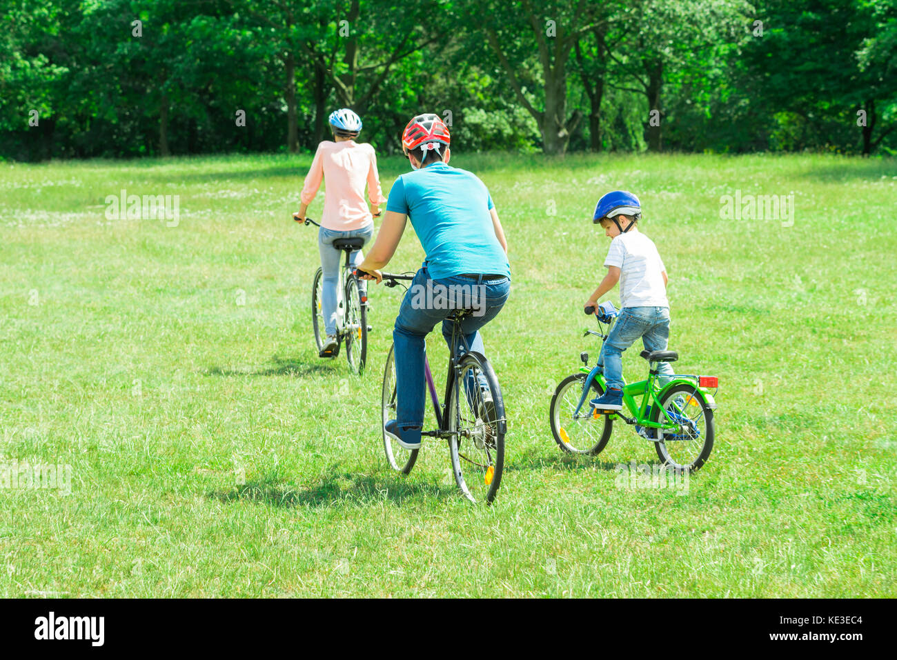 Rear View Of A Family Riding Bicycle On The Green Grass In The Park Stock Photo