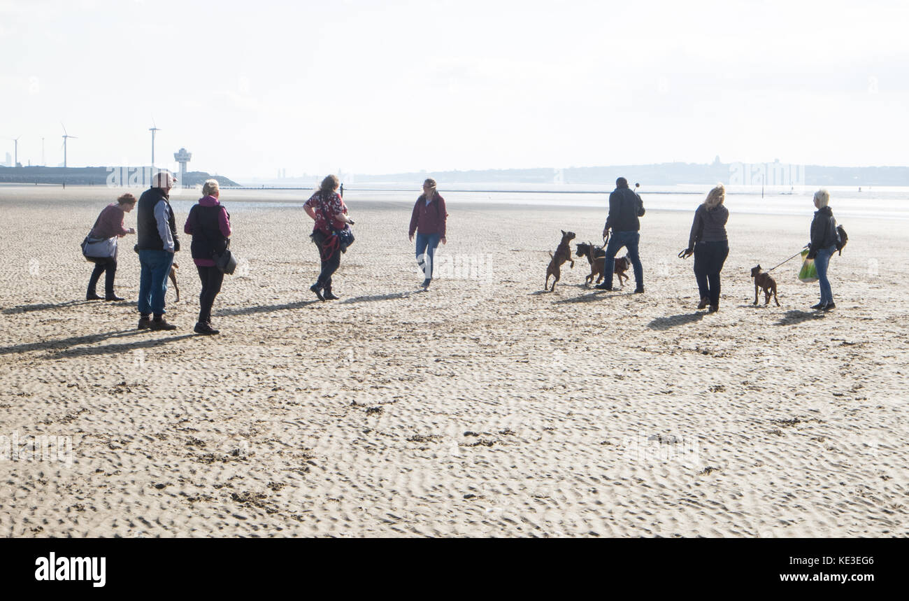 Dog walkers,dogs,Anthony,Gormley,statues,iron,men,Another Place,art,installation,on,Crosby Beach,coast,coastal,area,Liverpool,England,U.K.,UK,Europe, Stock Photo