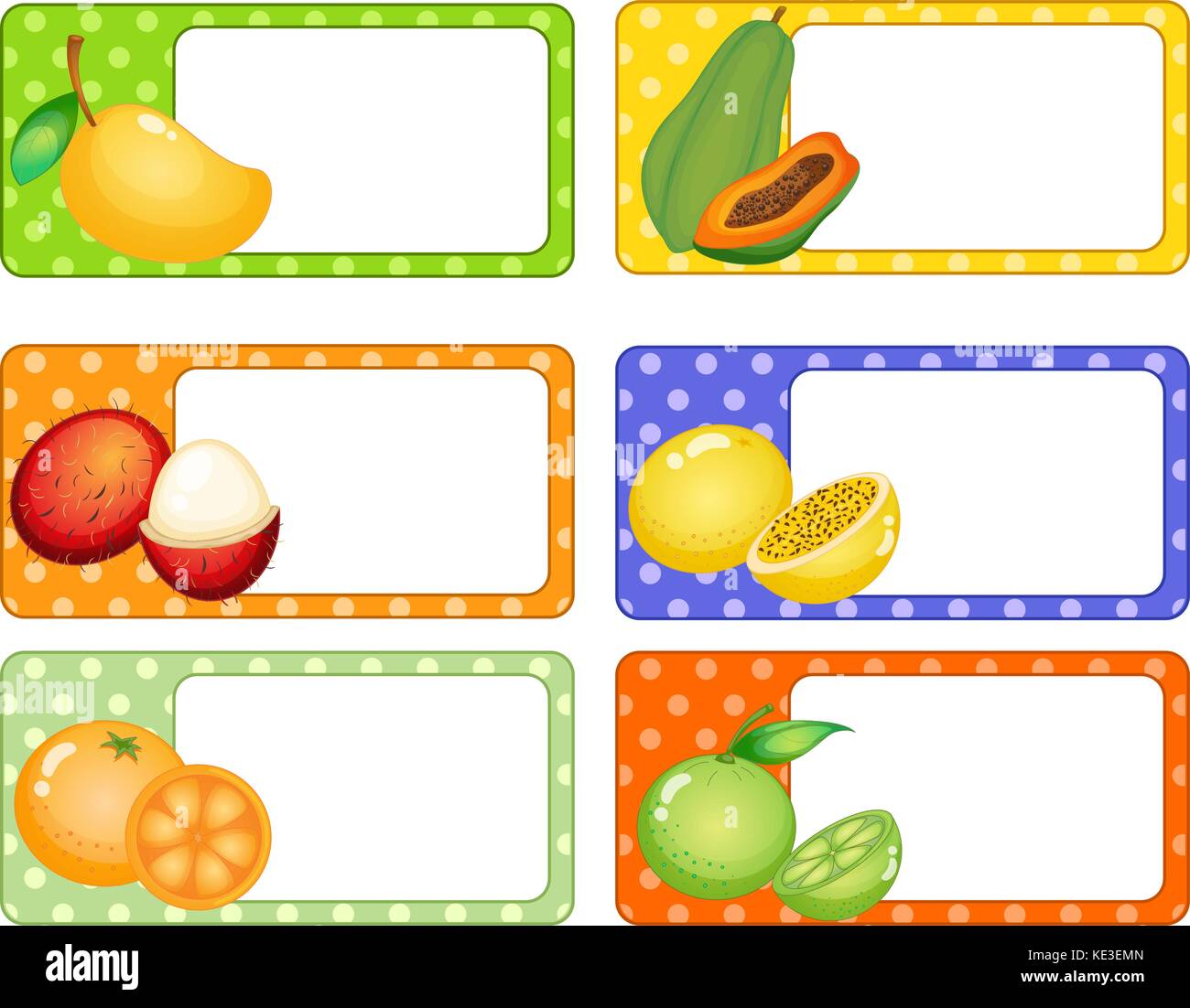 Square labels with tropical fruits illustration Stock Vector Image