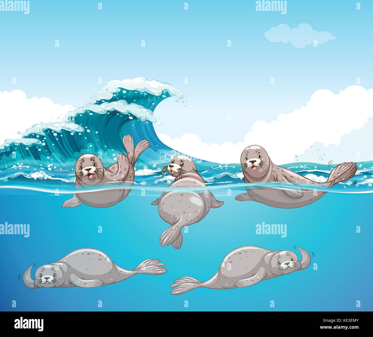 Seals swimming deals