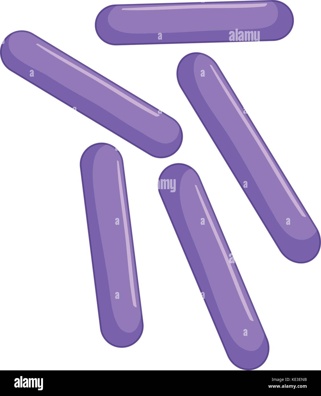 Purple bacteria in intestine illustration Stock Vector