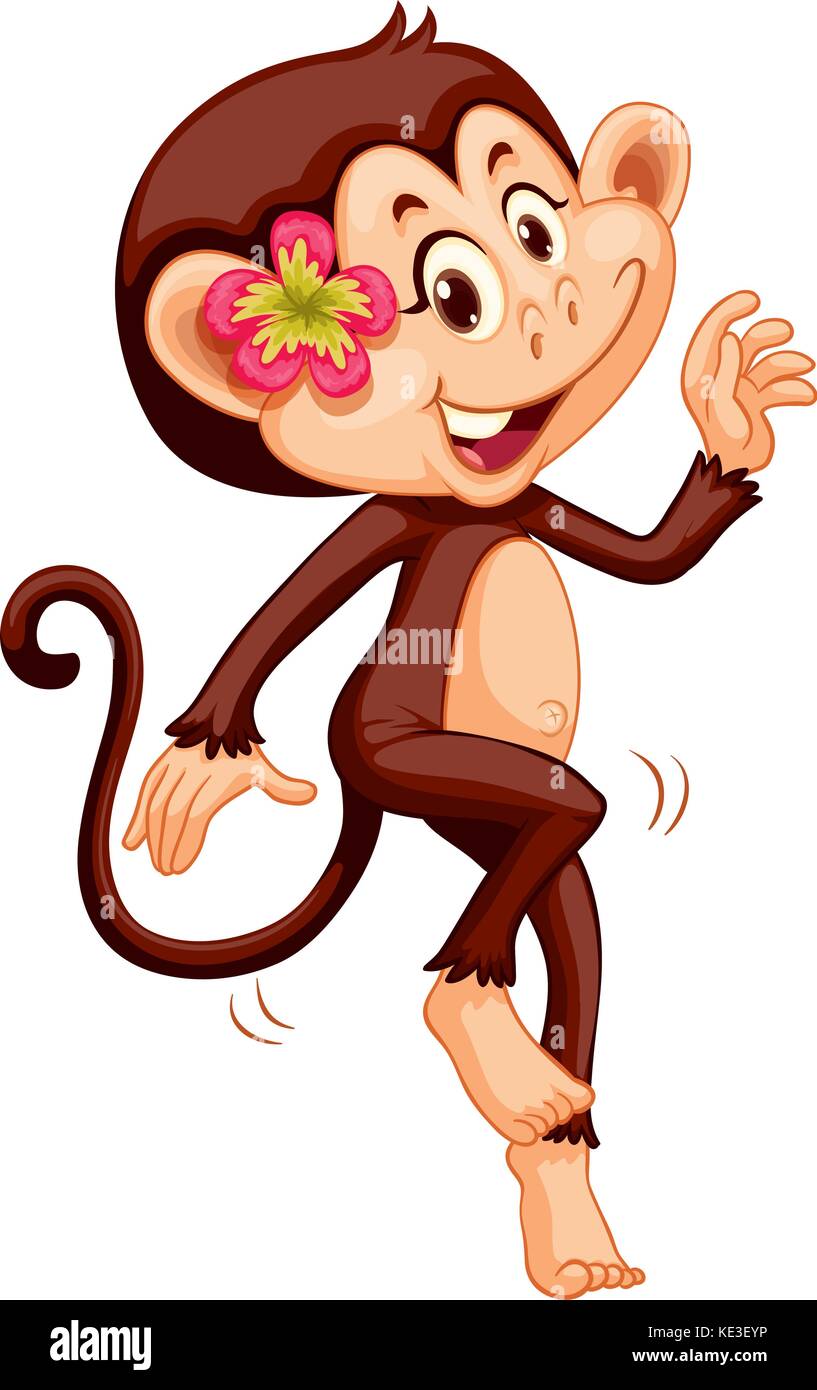 cute smiling monkey