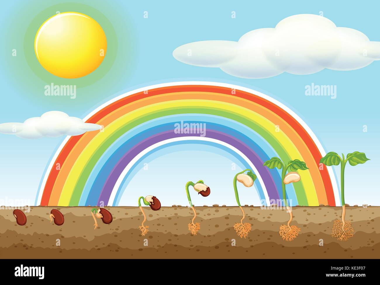 Germination Of Seeds Clipart