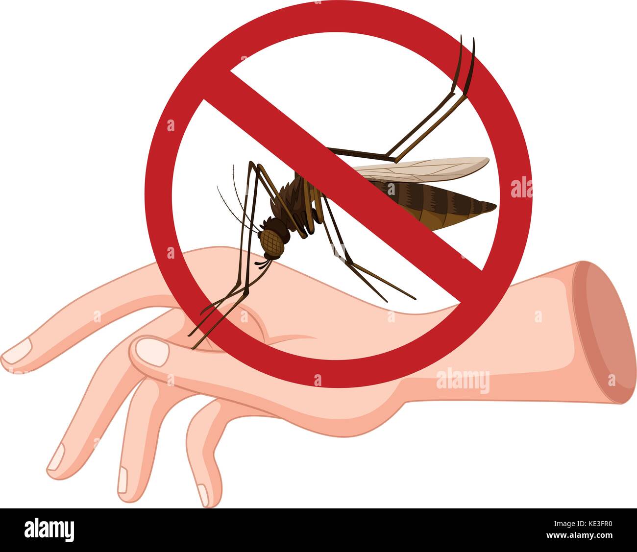 Mosquito biting on hand illustration Stock Vector Image & Art Alamy