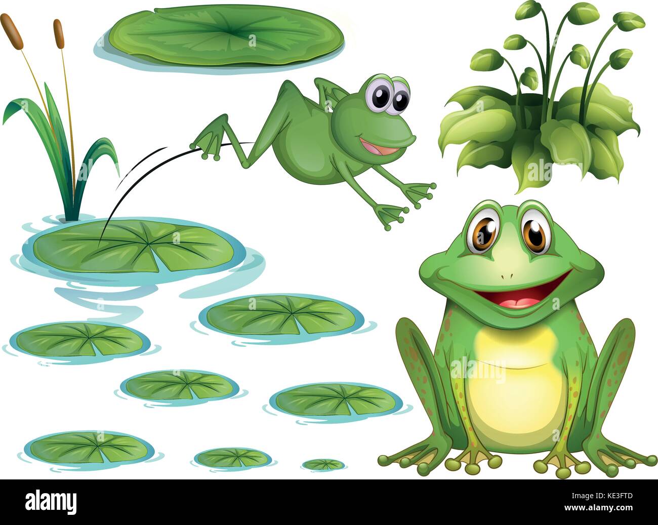 Set of green frog and water lily Stock Vector Image & Art - Alamy