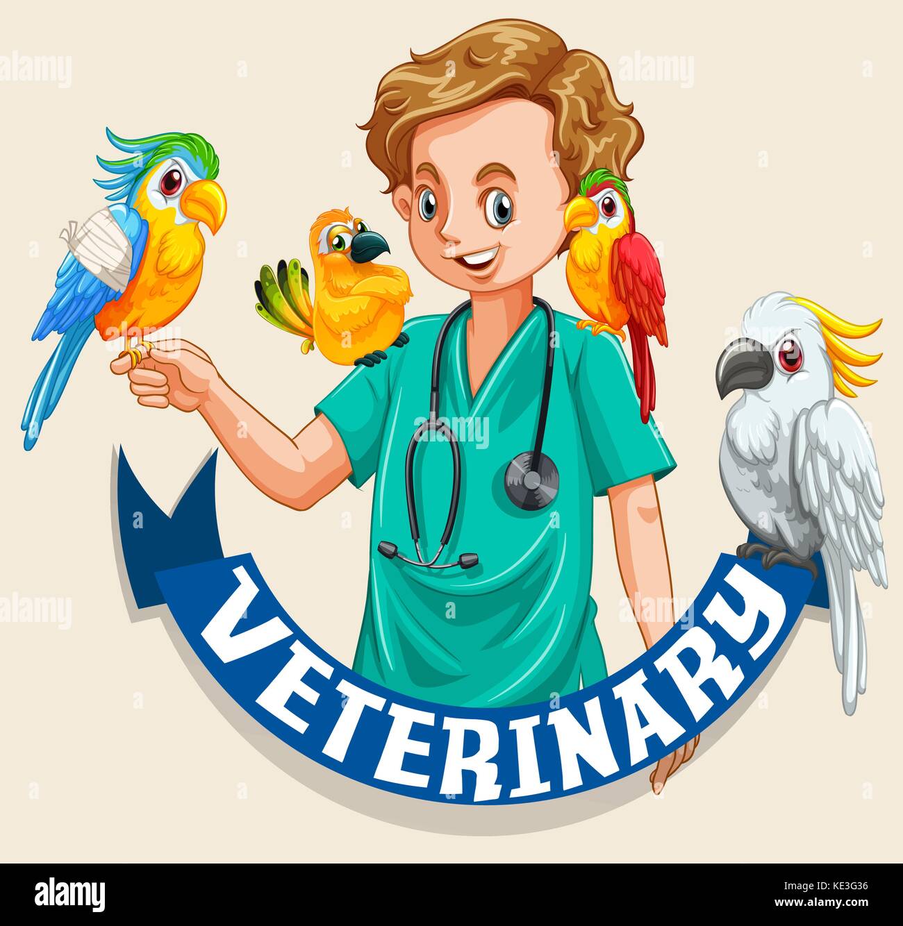 Veterinary sign with pet birds and vet illustration Stock Vector Image