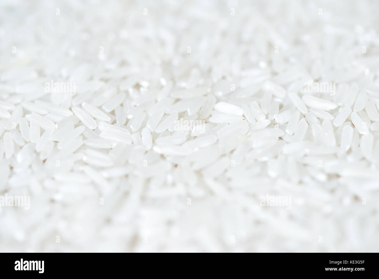 Scattered rice grains close up Stock Photo Alamy