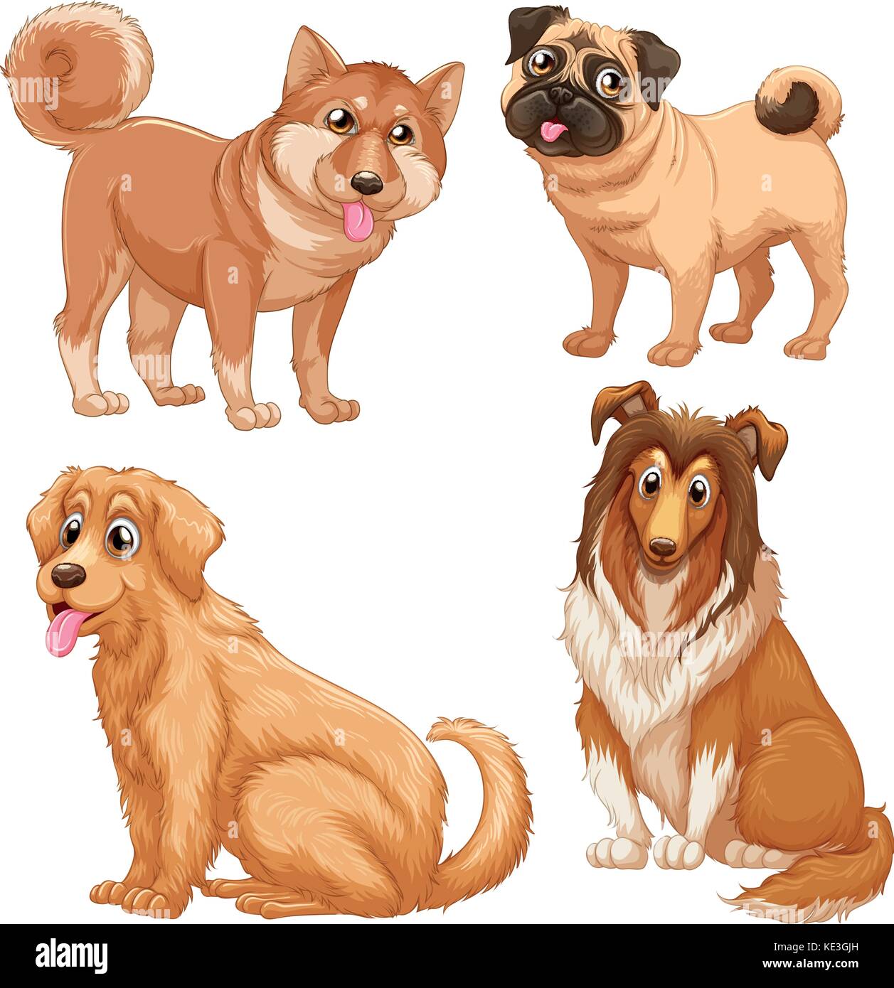 Hairy big cheap dogs