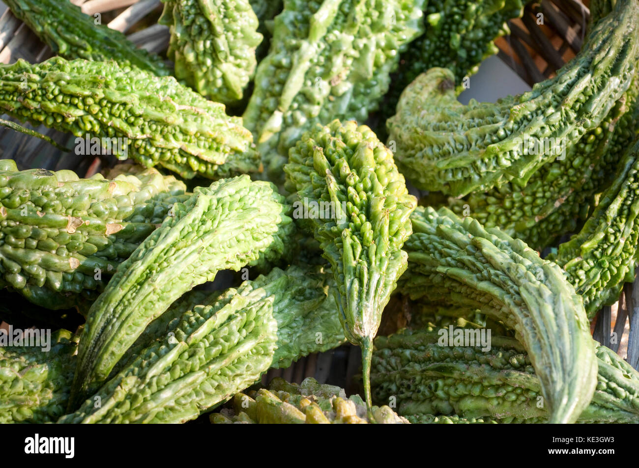 Bitter Melon, Momordica Charantiar Stock Photo Alamy