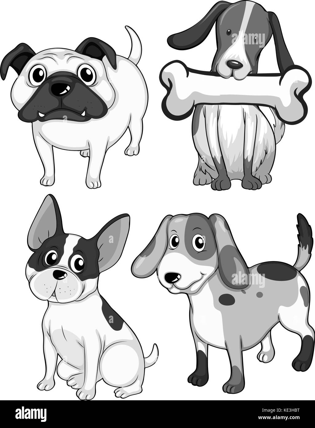Different breed of dogs in black and white Stock Vector Image & Art - Alamy
