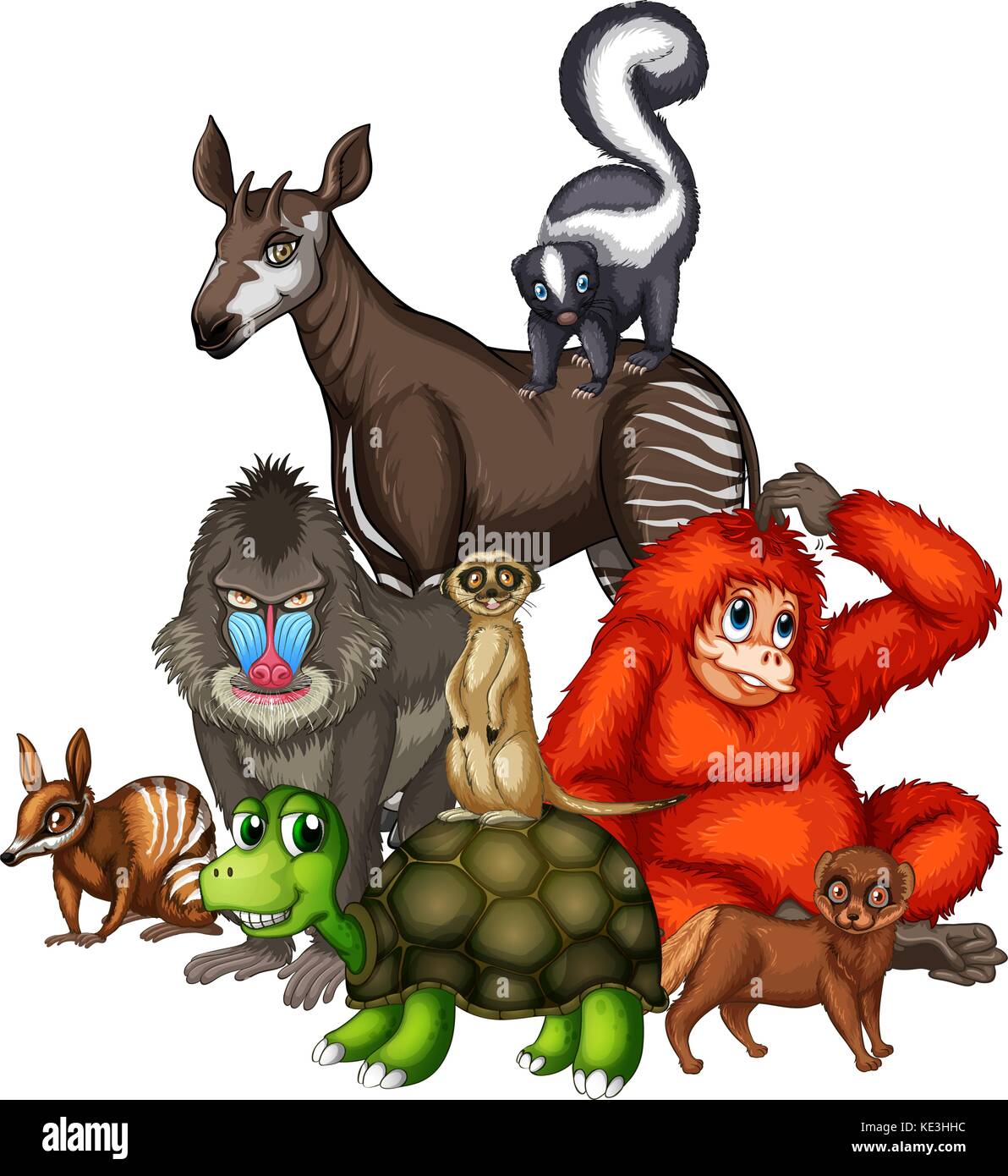 Wild animals on white background illustration Stock Vector Image & Art ...