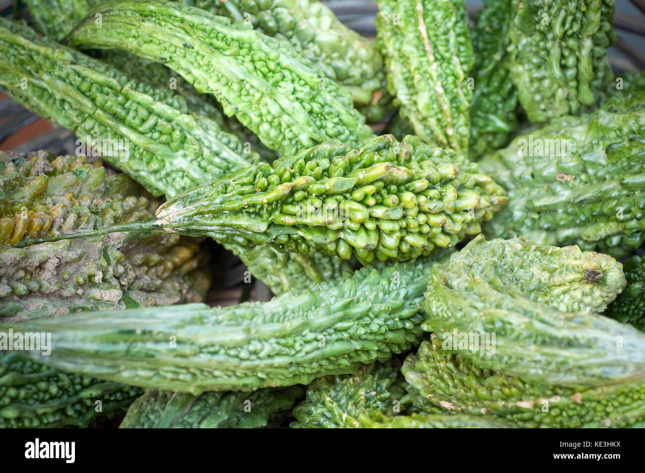 Bitter melon hires stock photography and images Alamy