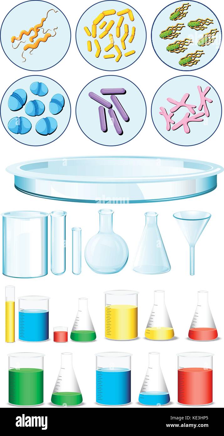 Set of science containers and bacteria on tray illustration Stock Vector