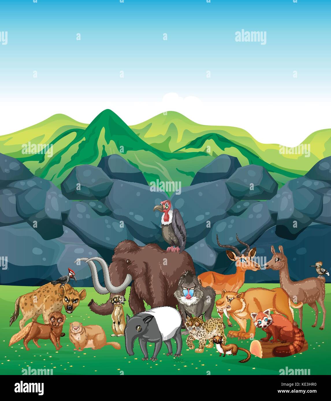 Wild animals in the field illustration Stock Vector Image & Art - Alamy