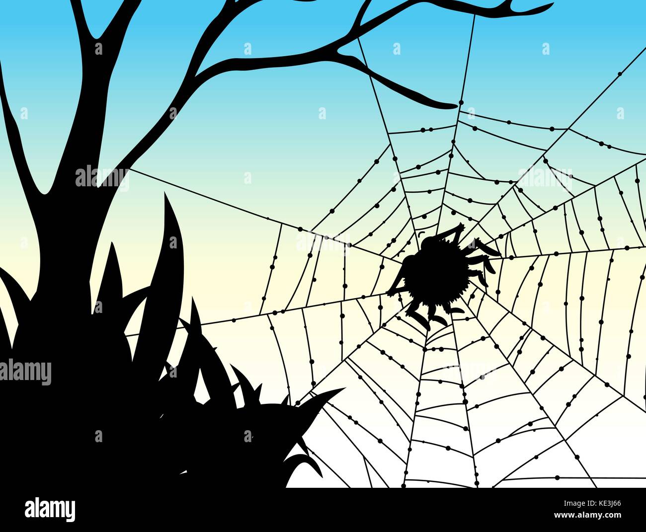 Silhouette spider on web illustration Stock Vector Image & Art - Alamy