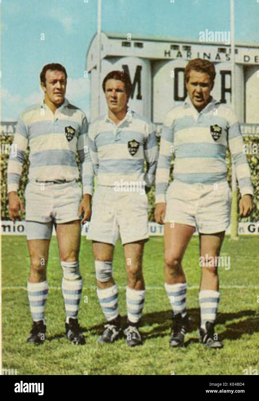 Los pumas 1970 Stock Photo Alamy