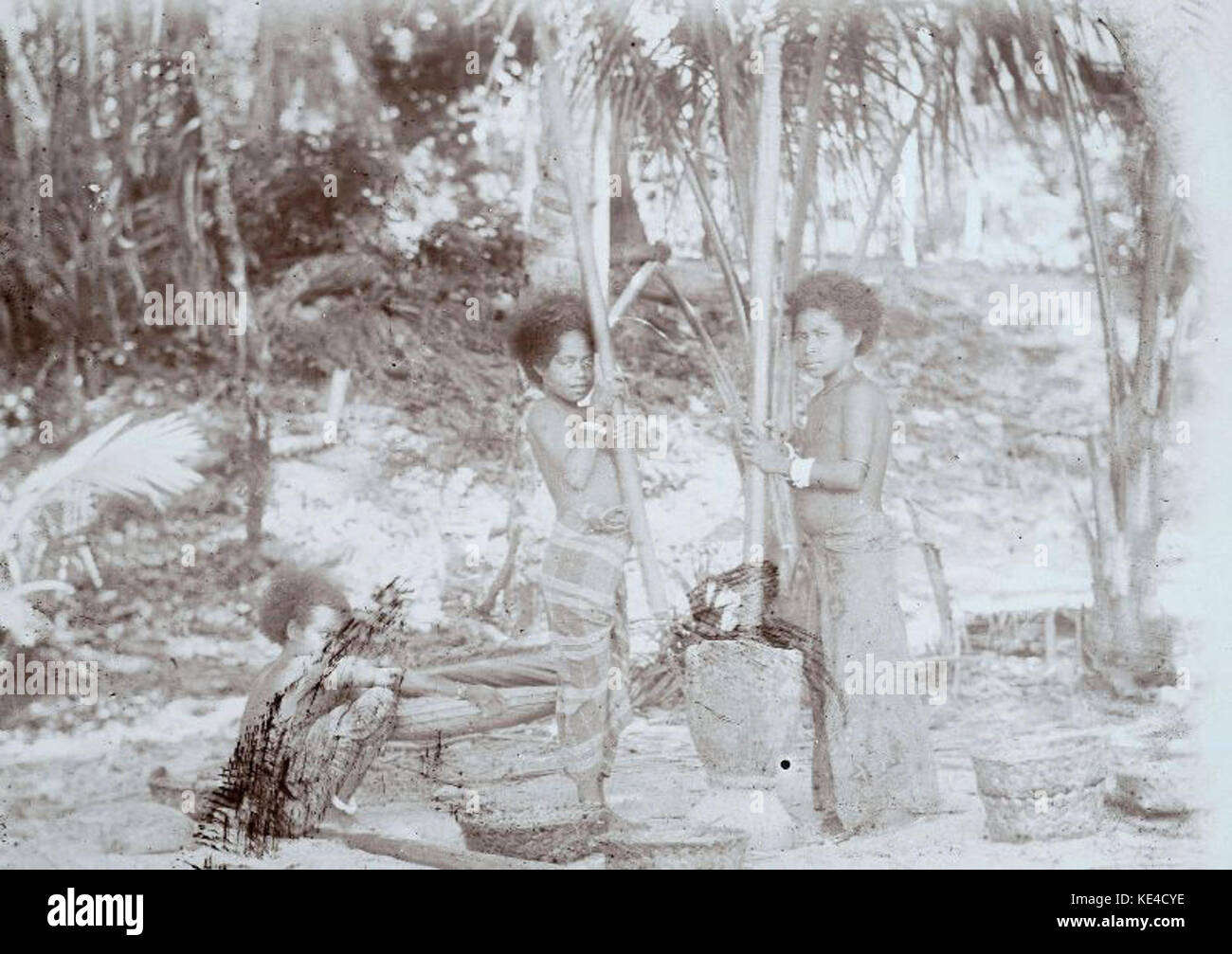 Papuan girls pounding rice   Collectie stichting Nationaal Museum van Wereldculturen   TM 60010161 Stock Photo
