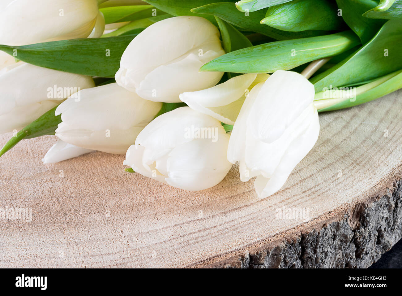 White tulip flowers on wooden background. Stock Photo