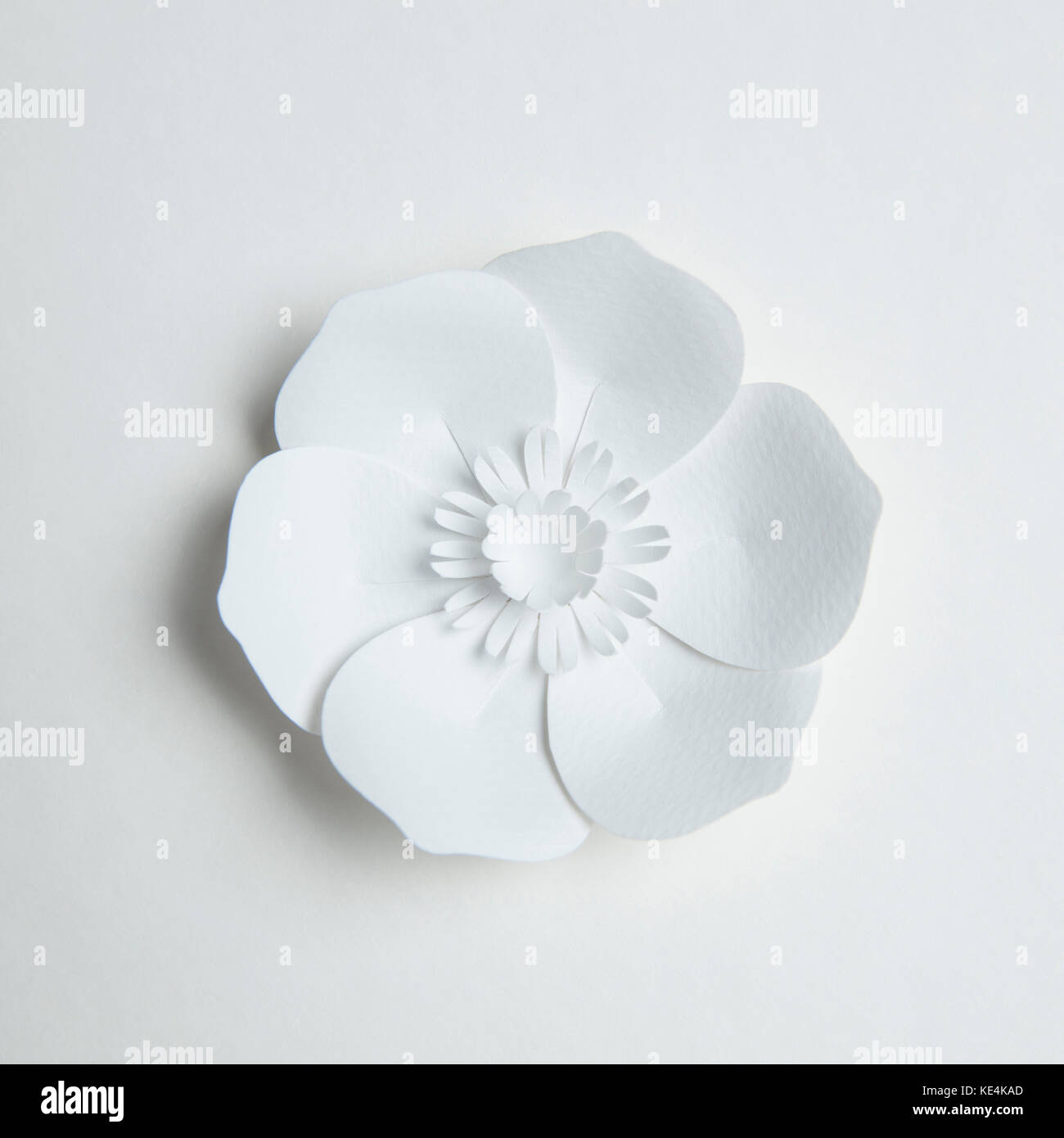 Paper decoration flower hi-res stock photography and images - Alamy