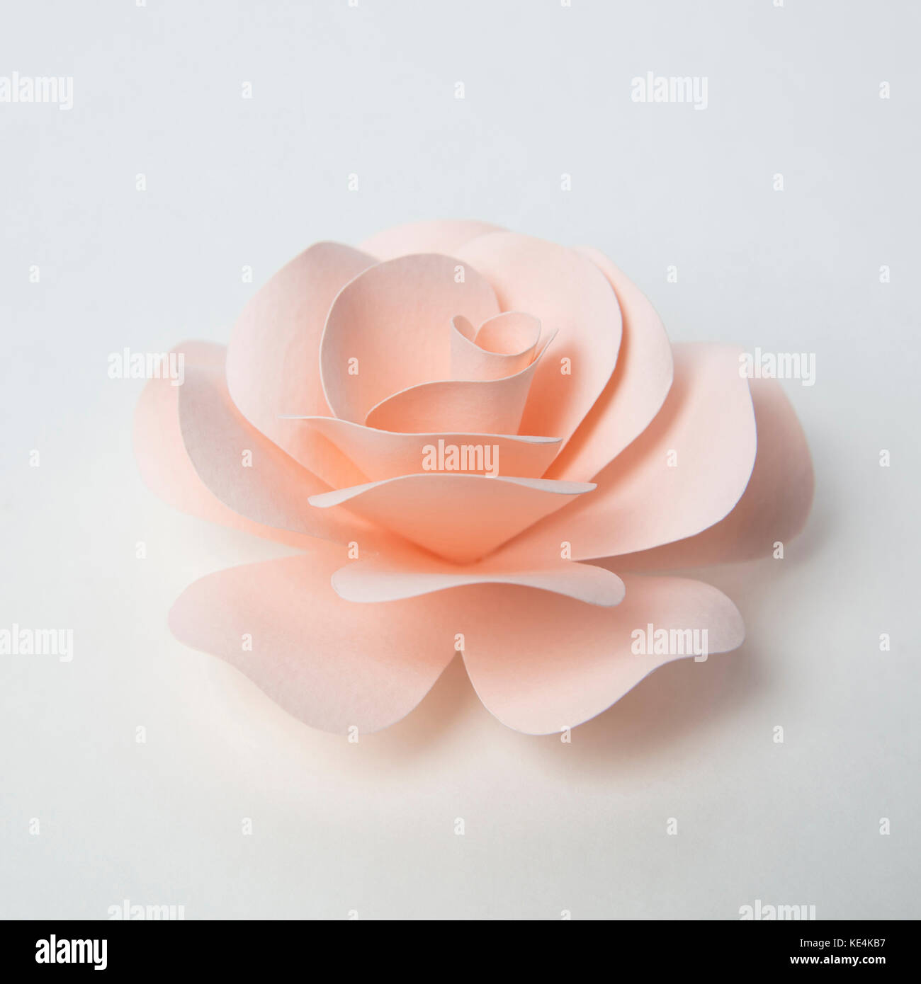 Flower background paper hi-res stock photography and images - Page 4 - Alamy