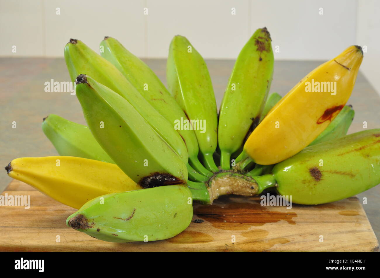 Cooking Bananas (Plantain), Townsville, Queensland, Australia Stock