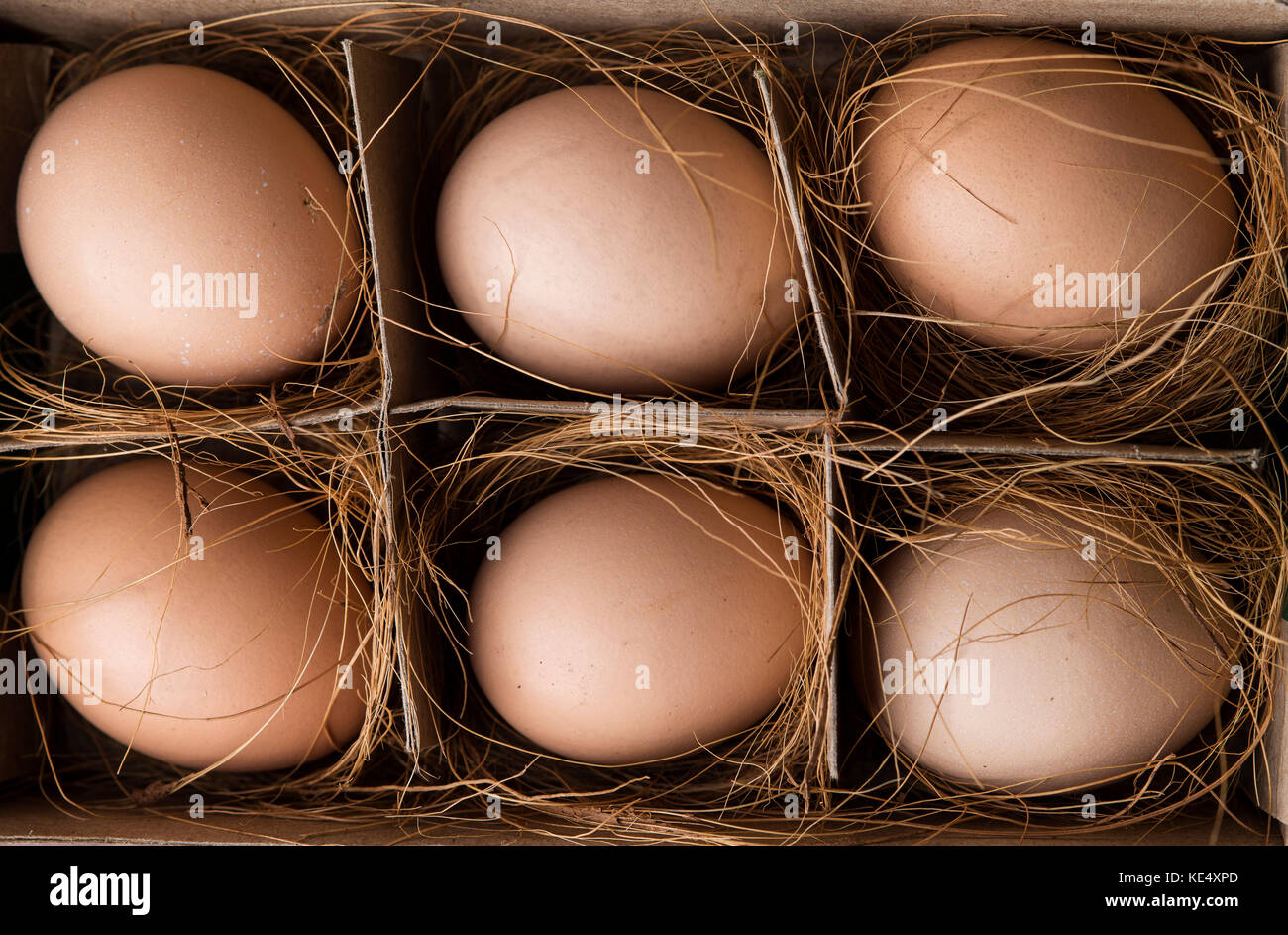 Top View of Six Brown Eggs in Carton Shot in Studio Stock Photo